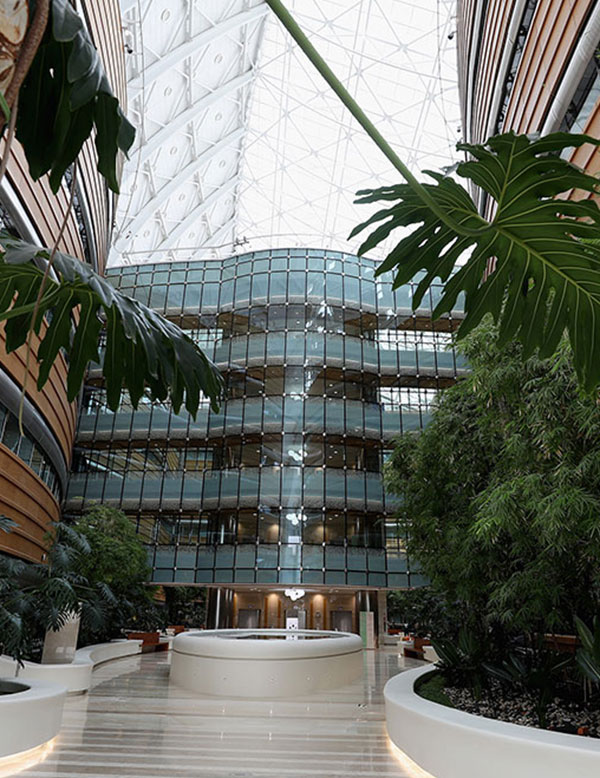 GORD helped Sidra Medicine reduce emissions and improve efficiency with energy audits and savings strategies.