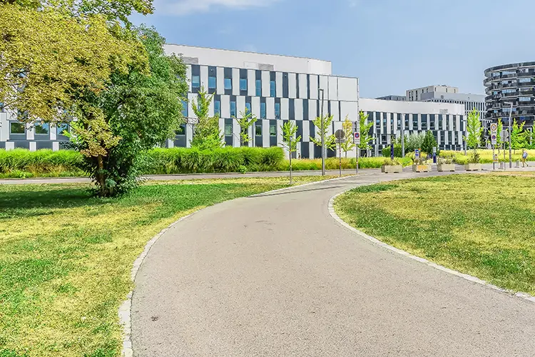 school campus